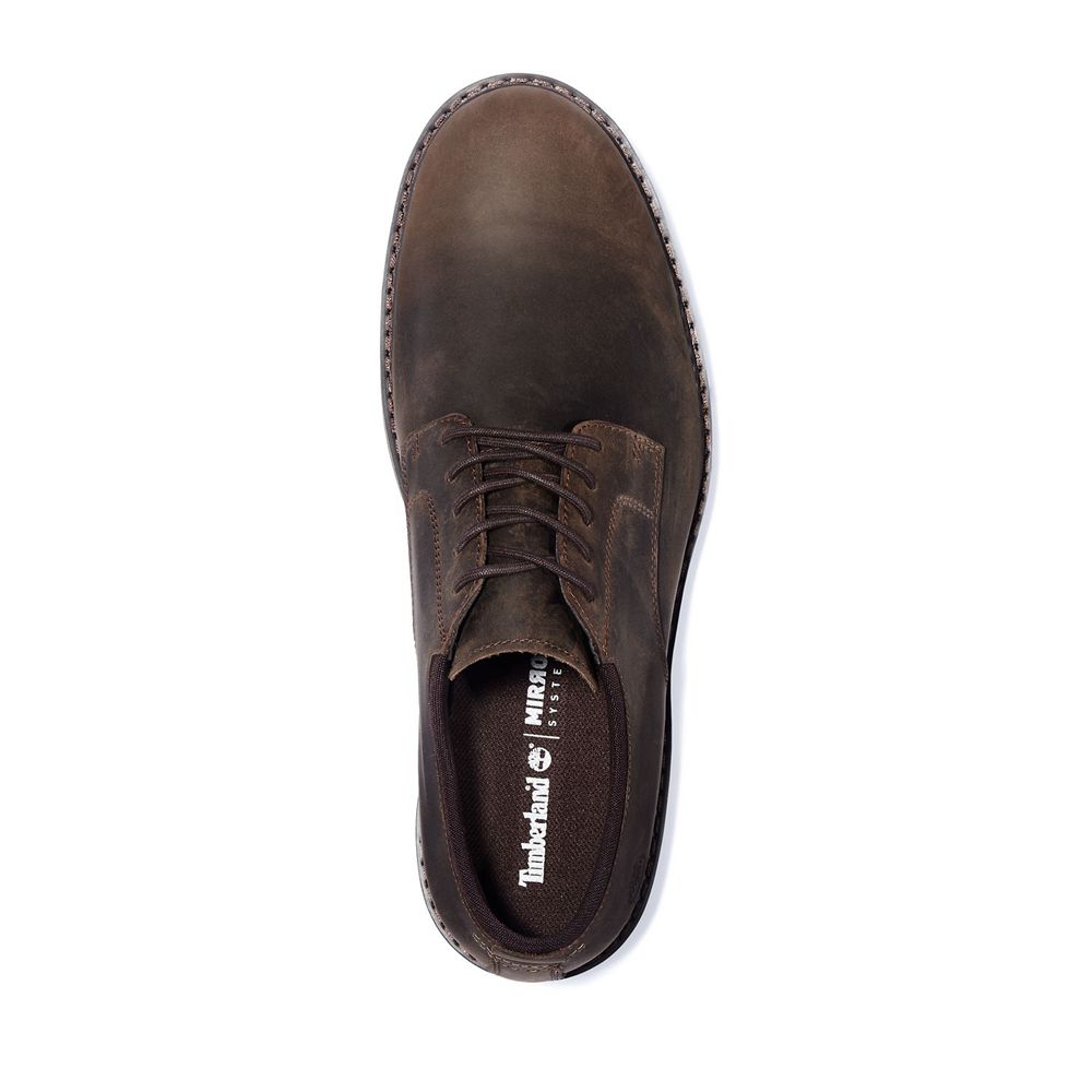 Zapatos Oxford Timberland Argentina Hombre - Squall Canyon Waterproof - Marrones Oscuro - TBFQOL-562